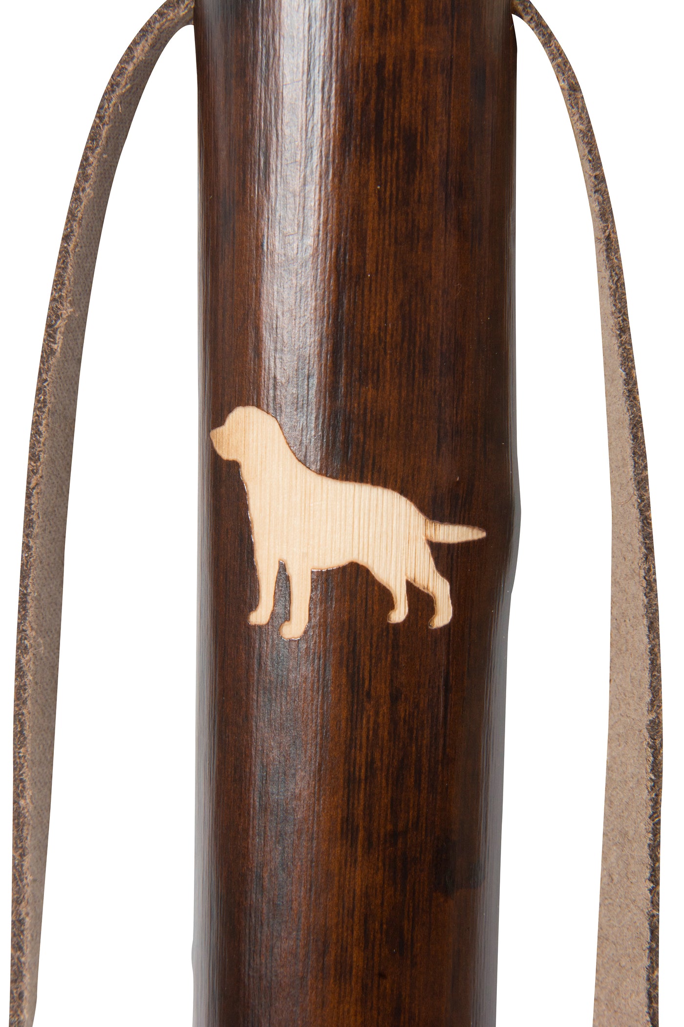 Classic canes vandringsstav, motiv Labrador retriever